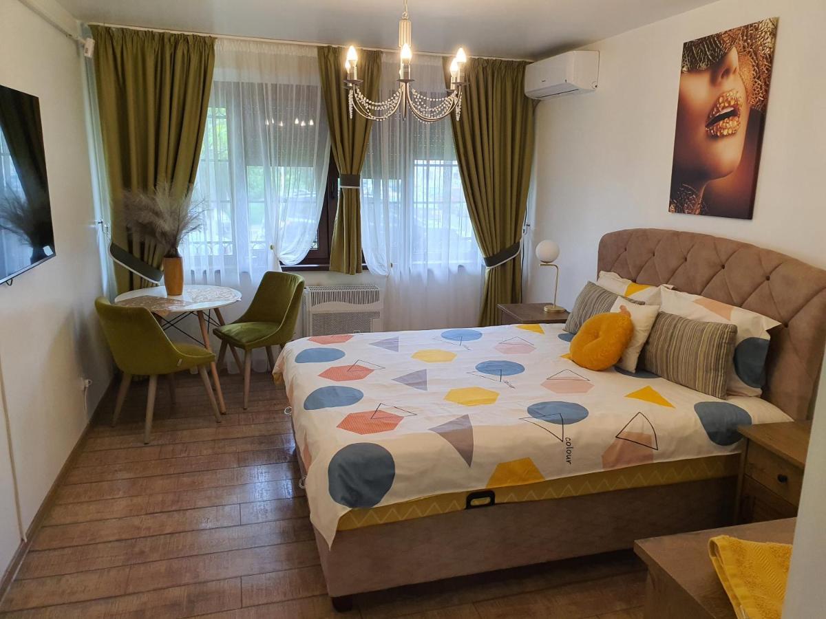Chic Apartment- Place To Remember Galaţi Buitenkant foto